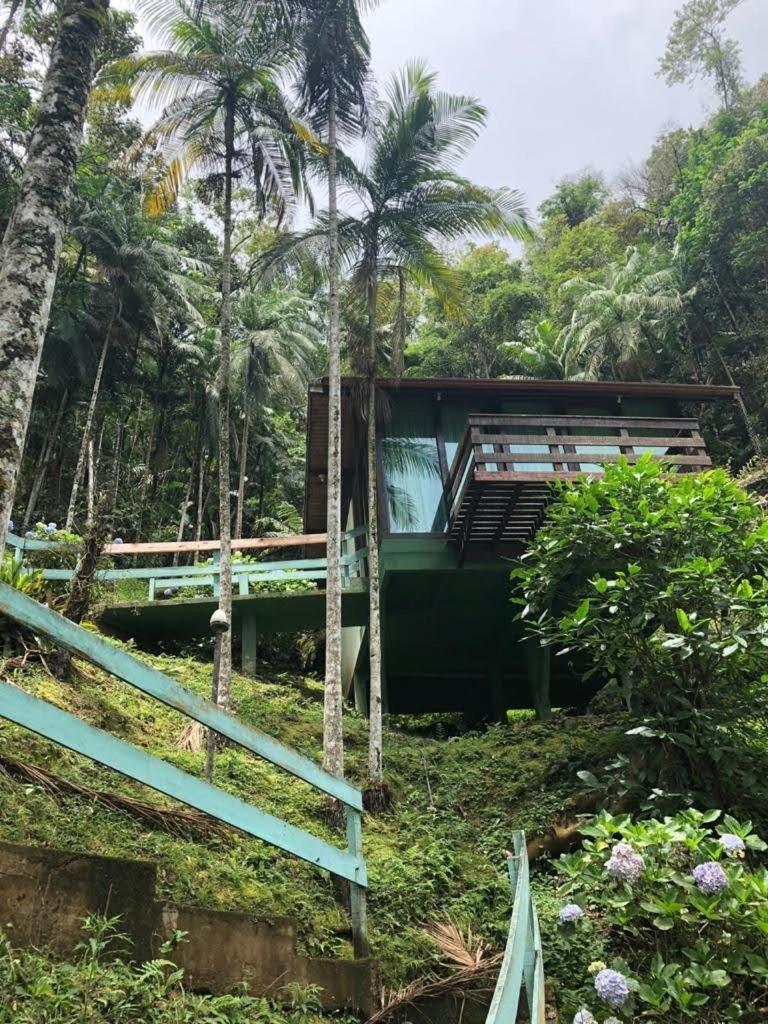 Recanto Dos Sonhos Guest House Lumiar Zewnętrze zdjęcie